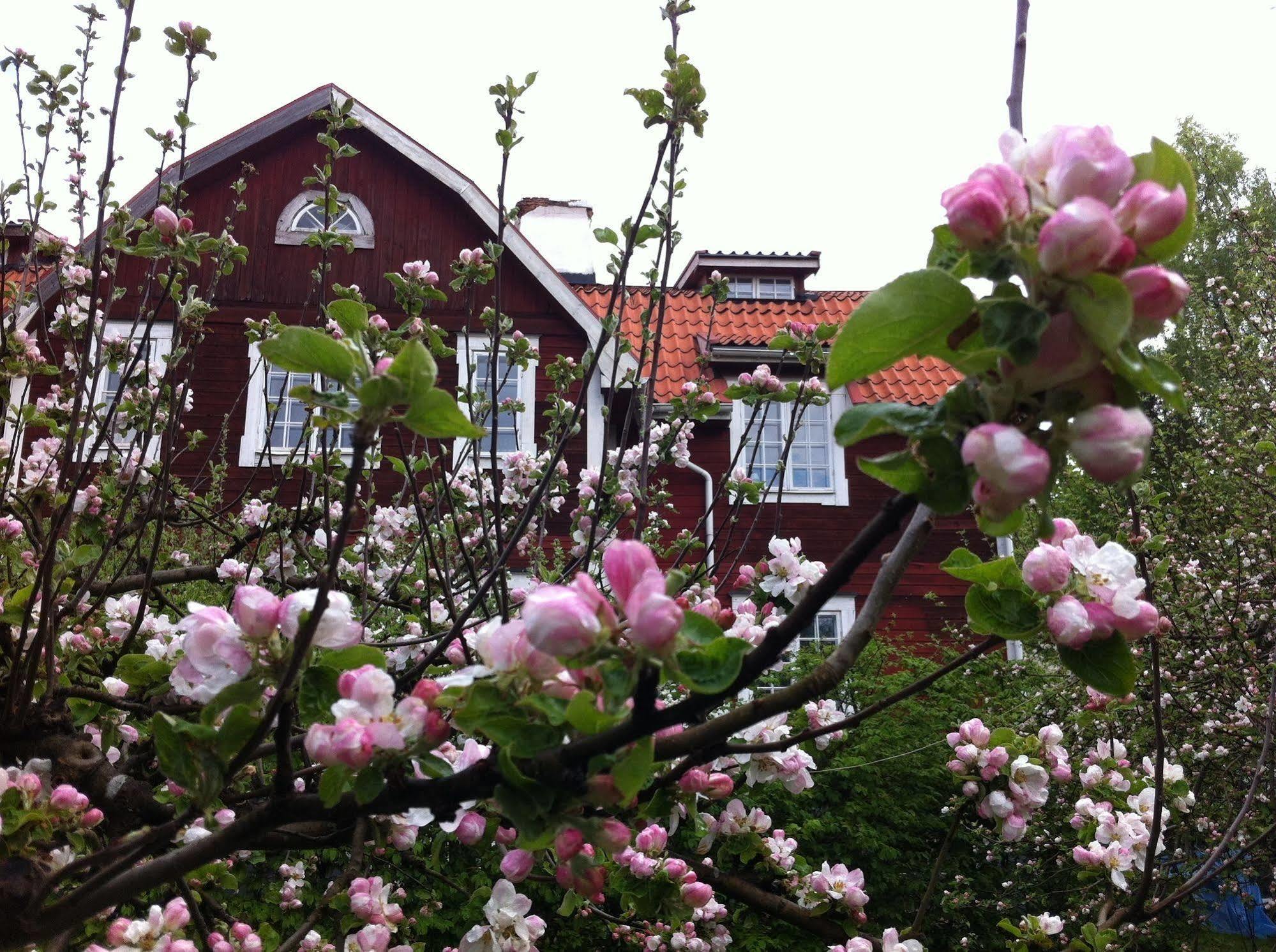 Stockholm B&B Cottage Nacka Εξωτερικό φωτογραφία